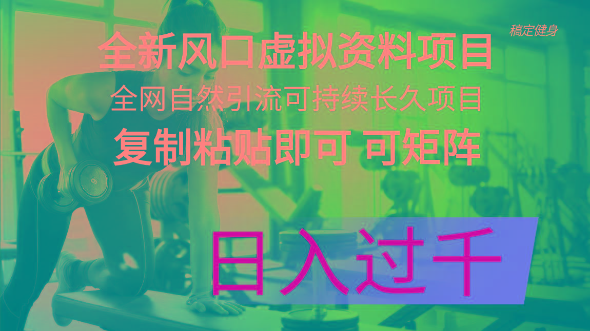 全新风口虚拟资料项目 全网自然引流可持续长久项目 复制粘贴即可可矩阵…-搞钱日记