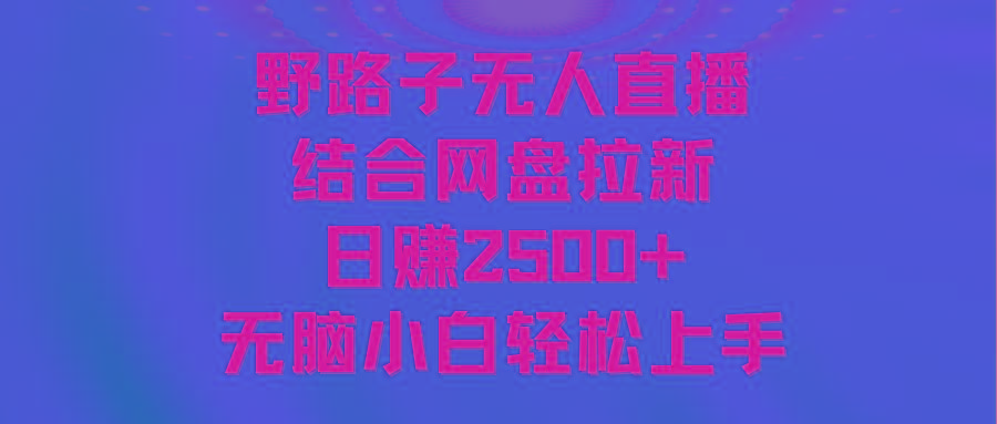 无人直播野路子结合网盘拉新，日赚2500+多平台变现，小白无脑轻松上手操作-搞钱日记