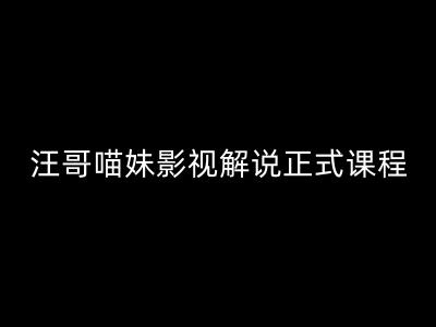 汪哥影视解说正式课程：剪映/PR教学/视解说剪辑5大黄金法则/全流程剪辑7把利器等等-搞钱日记