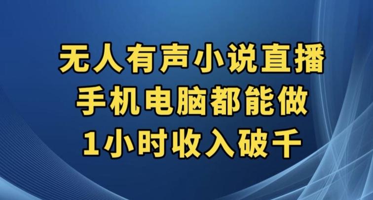 抖音无人有声小说直播，手机电脑都能做，1小时收入破千【揭秘】-搞钱日记