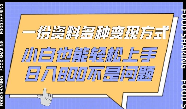一份资料多种变现方式，小白也能轻松上手，日入800不是问题【揭秘】-搞钱日记