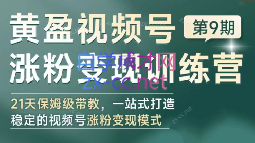 黄盈·视频号涨粉变现训练营-搞钱日记
