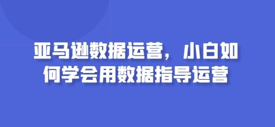 亚马逊数据运营，小白如何学会用数据指导运营-搞钱日记