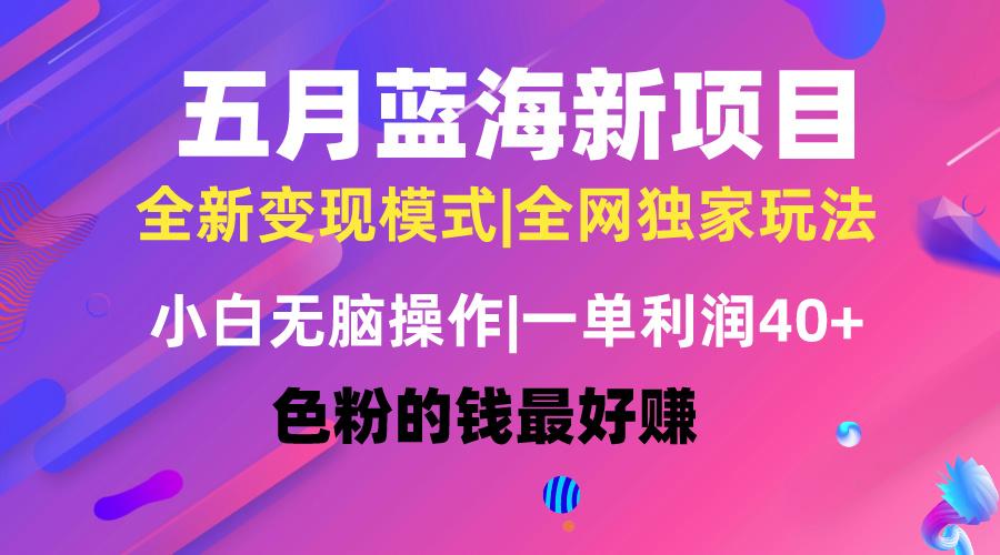 五月蓝海项目全新玩法，小白无脑操作，一天几分钟，矩阵操作，月入4万+-搞钱日记