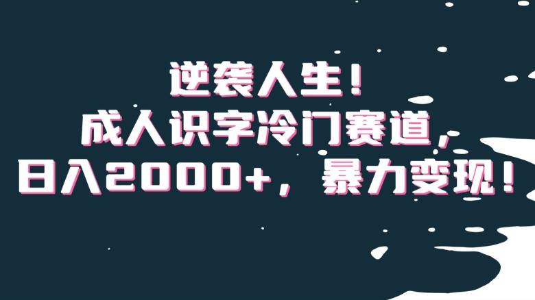 逆袭人生！成人识字冷门赛道，日入2000+，暴力变现！【揭秘】-搞钱日记