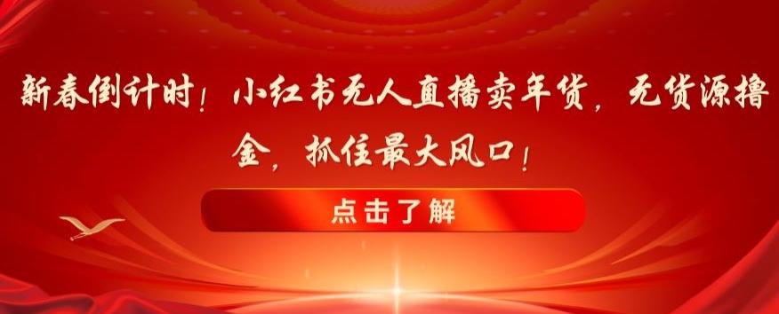 新春倒计时！小红书无人直播卖年货，无货源撸金，抓住最大风口【揭秘】-搞钱日记