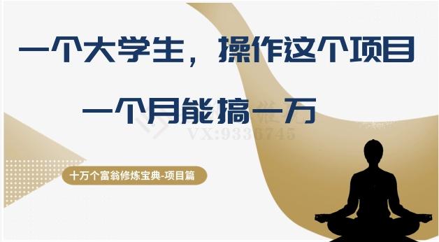 十万个富翁修炼宝典之4.一个大学生操作这个项目，一个月能搞一万-搞钱日记