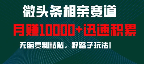 微头条相亲赛道，迅速积累，无脑复制粘贴，野路子玩法，月入1w-搞钱日记