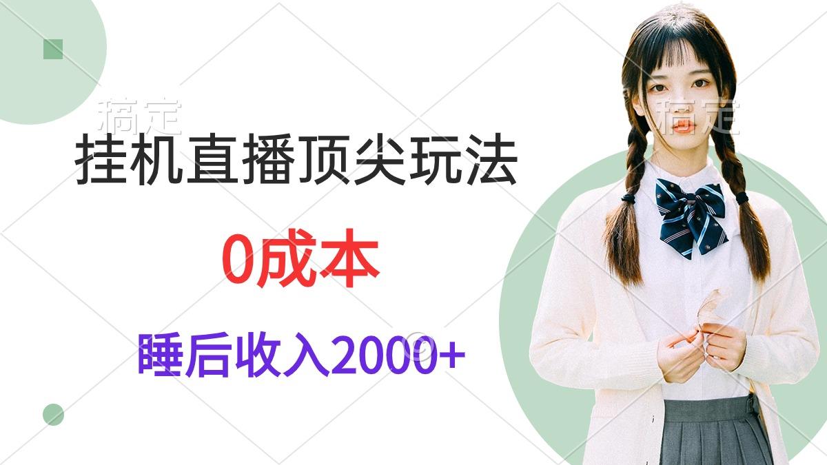 (9715期)挂机直播顶尖玩法，睡后日收入2000+、0成本，视频教学-搞钱日记