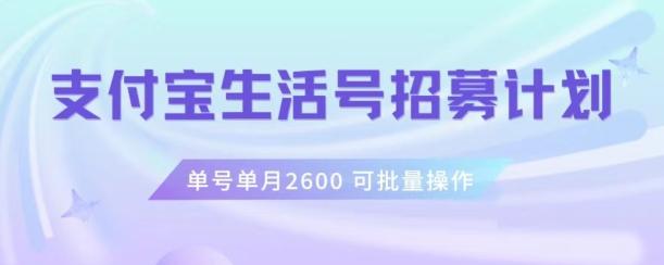 支付宝生活号作者招募计划，单号单月2600，可批量去做，工作室一人一个月轻松1w+【揭秘】-搞钱日记