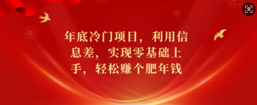 年底冷门项目，利用信息差，实现零基础上手，轻松赚个肥年钱【揭秘】-搞钱日记