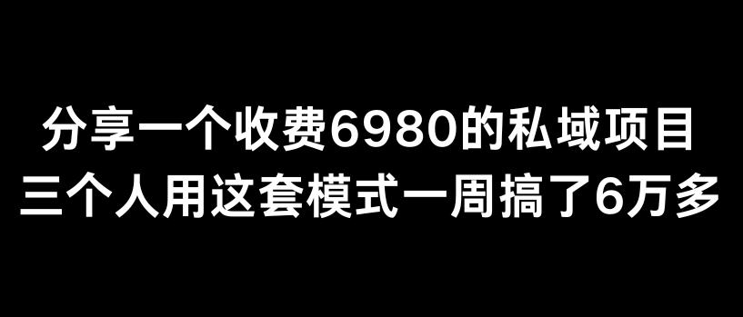分享一个外面卖6980的私域项目三个人用这套模式一周搞了6万多【揭秘】-搞钱日记