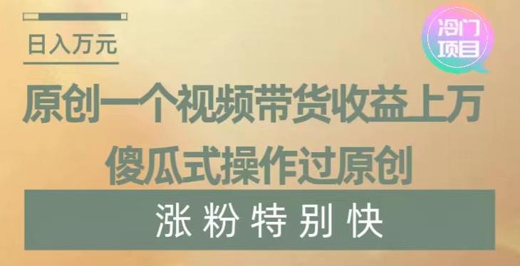原创一个视频带货收益上万，傻瓜式操作过原创，几分钟做一个视频涨粉特别快【揭秘】-搞钱日记