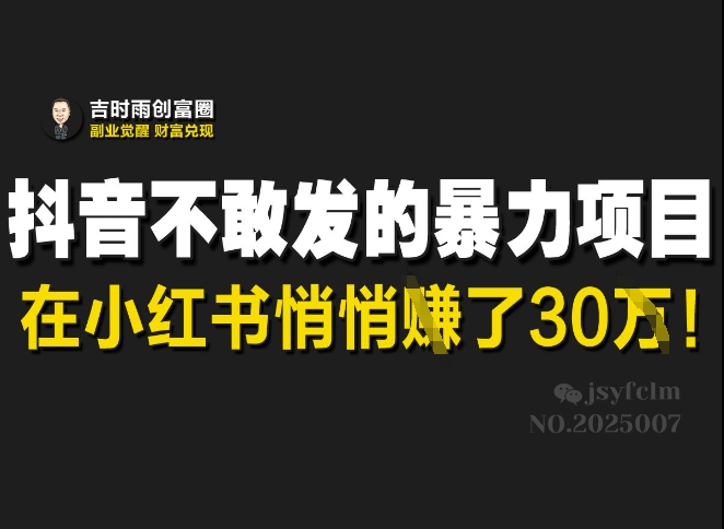 抖音不敢发的暴利项目，在小红书悄悄挣了30W-搞钱日记