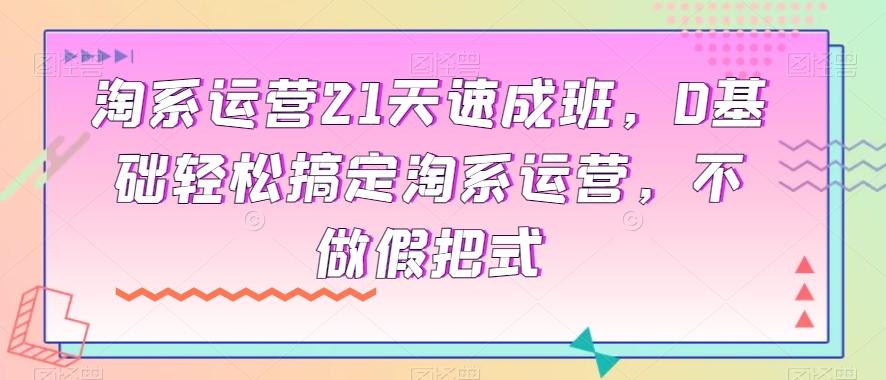 淘系运营21天速成班，0基础轻松搞定淘系运营，不做假把式-搞钱日记