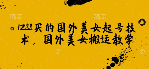 1288买的国外美女起号技术，国外美女搬运教学-搞钱日记