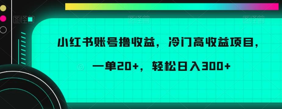 小红书账号撸收益，冷门高收益项目，一单20+，轻松日入300+【揭秘】-搞钱日记
