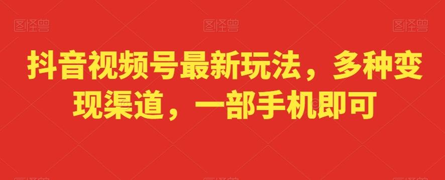 抖音视频号最新玩法，多种变现渠道，一部手机即可-搞钱日记