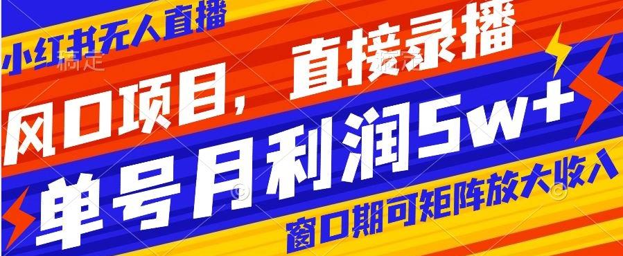 风口项目，小红书无人直播带货，直接录播，可矩阵，月入5w+【揭秘】-搞钱日记