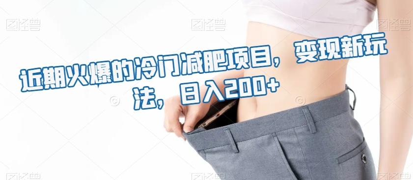 近期火爆的冷门减肥项目，变现新玩法，日入200+-搞钱日记