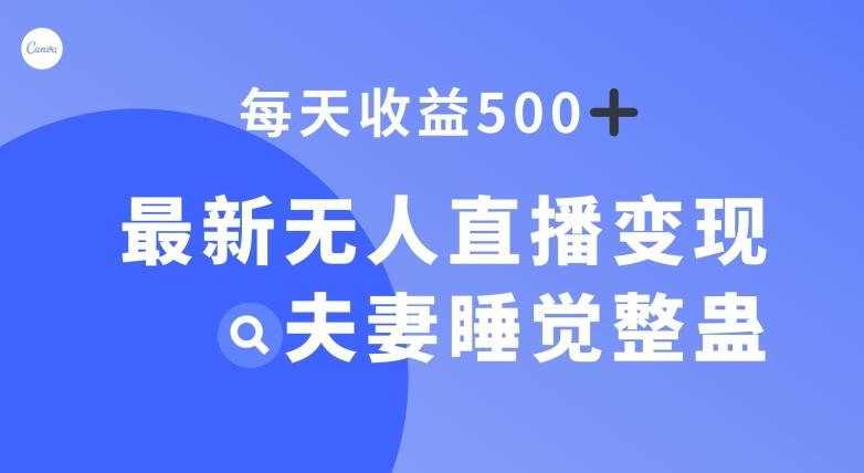 最新无人直播变现，夫妻睡觉整蛊，每天躺赚500+【揭秘】-搞钱日记