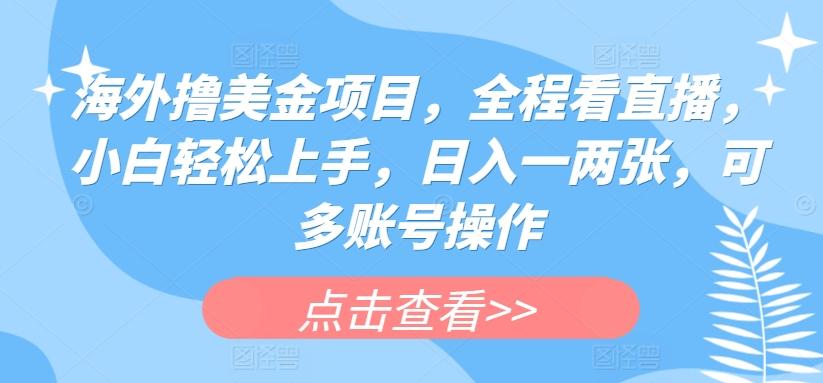 海外撸美金项目，全程看直播，小白轻松上手，日入一两张，可多账号操作【揭秘】-搞钱日记