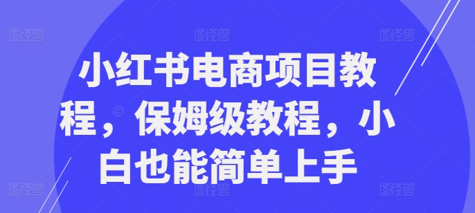 小红书电商项目教程，保姆级教程，小白也能简单上手-搞钱日记