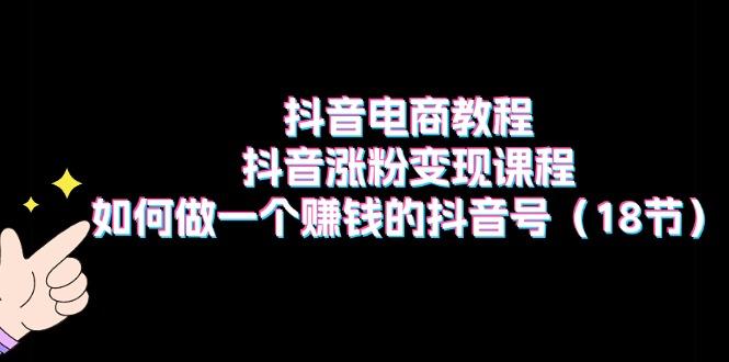 抖音电商教程：抖音涨粉变现课程：如何做一个赚钱的抖音号(18节-搞钱日记