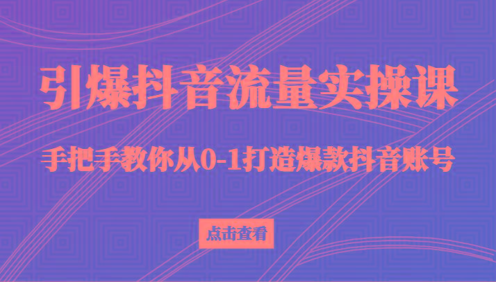 引爆抖音流量实操课，手把手教你从0-1打造爆款抖音账号(27节课)-搞钱日记