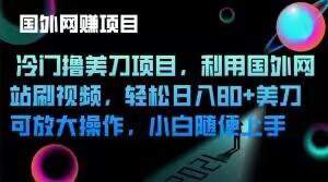 冷门撸美刀项目，利用国外网站刷视频，轻松日入80+美刀，可放大操作，小白随便上手-搞钱日记