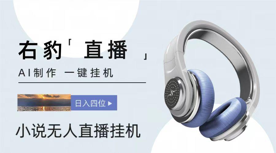 右豹小说无人直播挂机吸金项目，简单易行收益稳定， 月入1000+-搞钱日记