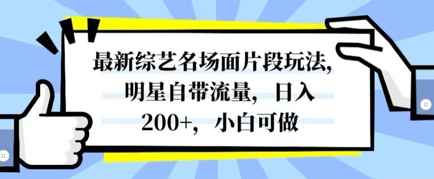最新综艺名场面片段玩法，明星自带流量，日入200+，小白可做【揭秘】-搞钱日记