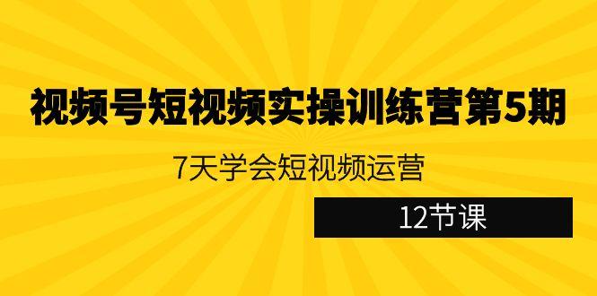视频号短视频实操训练营第5期：7天学会短视频运营(12节课)-搞钱日记