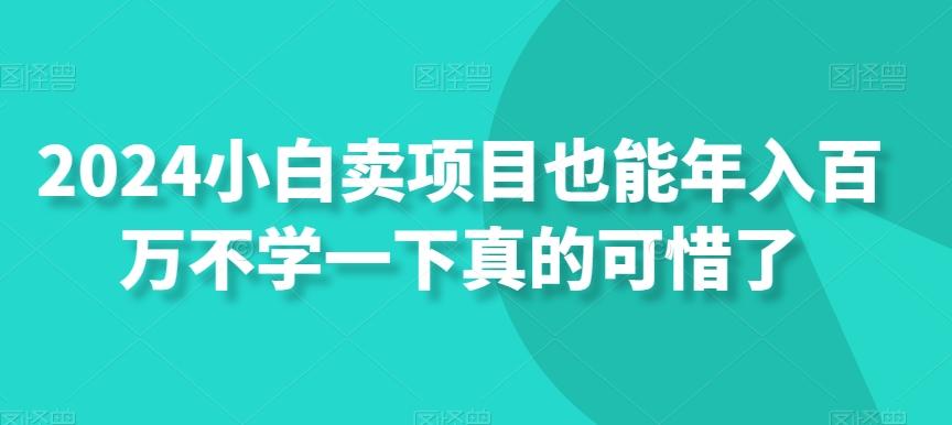 2024小白卖项目也能年入百万不学一下真的可惜了-搞钱日记