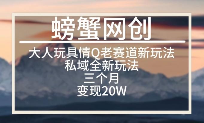 大人玩具情Q用品赛道私域全新玩法，三个月变现20W，老项目新思路【揭秘】-搞钱日记