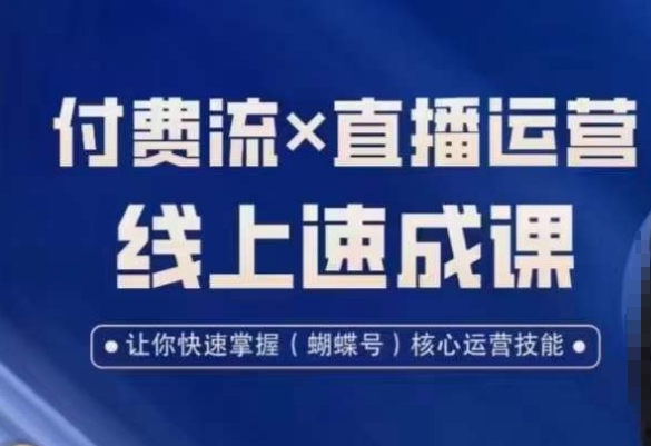 视频号付费流实操课程，付费流✖️直播运营速成课，让你快速掌握视频号核心运营技能-搞钱日记