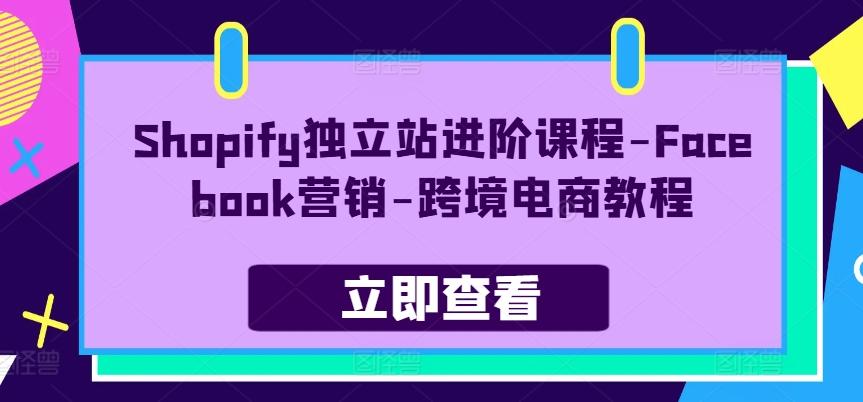 Shopify独立站进阶课程-Facebook营销-跨境电商教程-搞钱日记