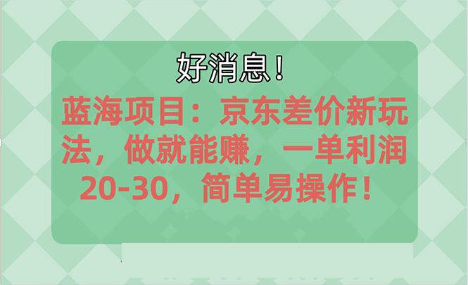 越早知道越能赚到钱的蓝海项目：京东大平台操作，一单利润20-30，简单...-搞钱日记