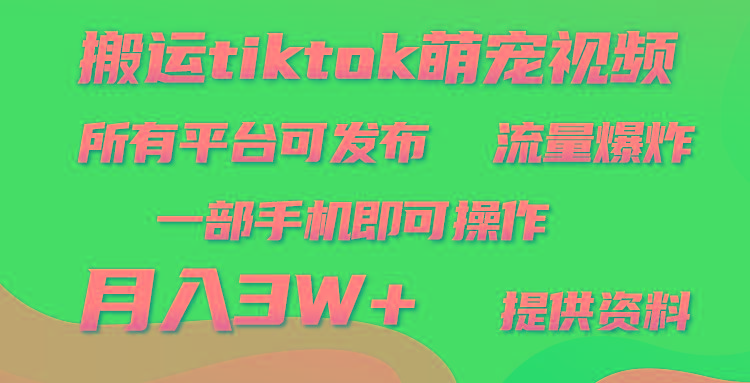 (9618期)搬运Tiktok萌宠类视频，一部手机即可。所有短视频平台均可操作，月入3W+-搞钱日记