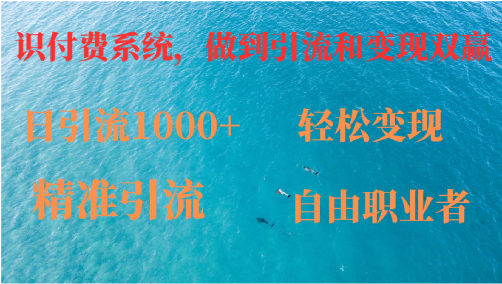 如何搭建自己的知识付费系统，做到引流和变现双赢-搞钱日记