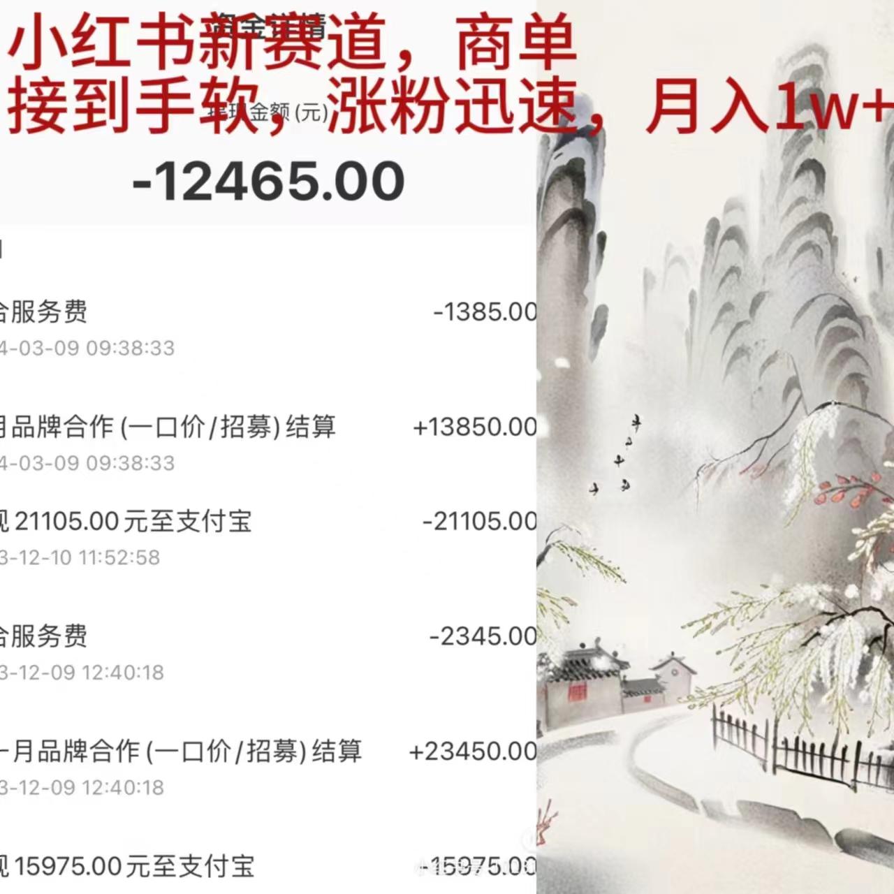 (9476期)小红书新赛道，商单接到手软，涨粉迅速，月入1w+-搞钱日记