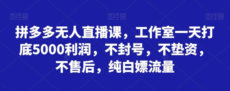 拼多多无人直播课，工作室一天打底5000利润，不封号，不垫资，不售后，纯白嫖流量-搞钱日记