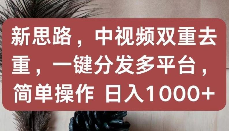 新思路，中视频双重去重，一键分发多平台，简单操作，日入1000+【揭秘】-搞钱日记