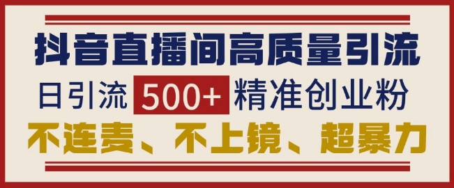 抖音直播间引流创业粉，无需连麦、不用上镜、超暴力，日引流500+高质量精准创业粉-搞钱日记
