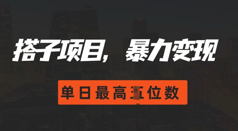 2024搭子玩法，0门槛，暴力变现，单日最高破四位数【揭秘】-搞钱日记