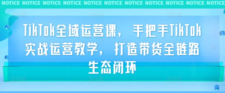 TikTok全域运营课，手把手TikTok实战运营教学，打造带货全链路生态闭环-搞钱日记