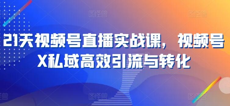 21天视频号直播实战课，视频号X私域高效引流与转化-搞钱日记