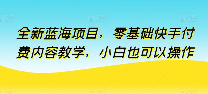 全新蓝海项目，零基础快手付费内容教学，小白也可以操作【揭秘】-搞钱日记