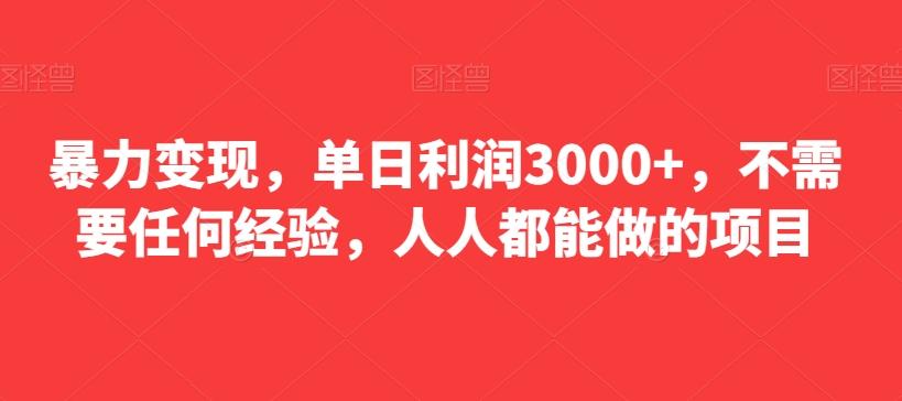 暴力变现，单日利润3000+，不需要任何经验，人人都能做的项目-搞钱日记