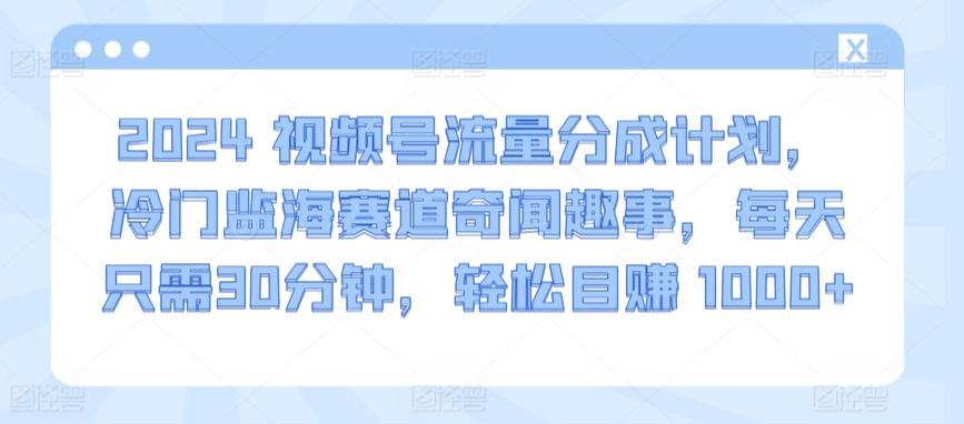 2024视频号流量分成计划，冷门监海赛道奇闻趣事，每天只需30分钟，轻松目赚 1000+【揭秘】-搞钱日记
